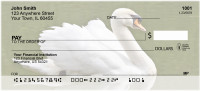 Swans A Swimming Personal Checks | QBA-63