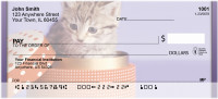 Kitten In A Box Personal Checks | QBA-92