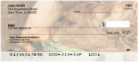 Baby Calves Personal Checks | QBB-07