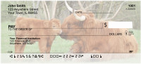 Highland Cow With Newborn Calf Personal Checks | QBB-13