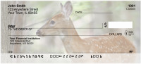 Fawns In Springtime Personal Checks | QBB-20