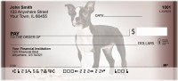 Boston Terrier Portraits Personal Checks | QBB-29