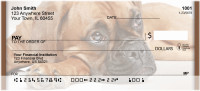 Boxer Snapshots Personal Checks | QBB-30
