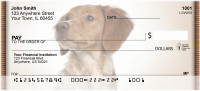 Bright Eyed Brittany Spaniel Personal Checks | QBB-32