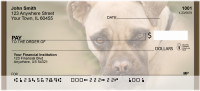 Bull Mastiff Personal Checks | QBB-33