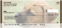 Bull Mastiff Personal Checks | QBB-33