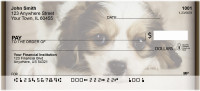 Cavachon Puppy Personal Checks | QBB-36