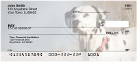 Dalmatians Personal Checks | QBB-50