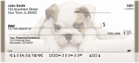 English Bulldogs Personal Checks | QBB-51