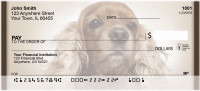 English Cocker Spaniel Personal Checks | QBB-52