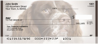 English Springer Spaniels Personal Checks | QBB-53