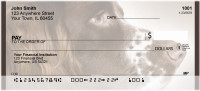 English Springer Spaniels Personal Checks | QBB-53