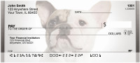 French Bulldogs Personal Checks | QBB-54