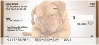 French Mastiff Personal Checks | QBB-55