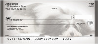 Havanese Personal Checks | QBB-61