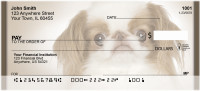 Japanese Chin Personal Checks | QBB-64