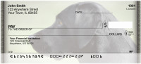 Black Labs Personal Checks | QBB-66