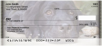Black Labs Personal Checks | QBB-66