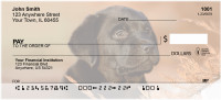 Labrador Puppies Personal Checks | QBB-69