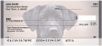 Perky Labrador Puppy Personal Checks | QBB-70