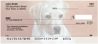 Yellow Labrador Puppies Personal Checks | QBB-73