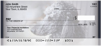 Black And Grey Poodle Personal Checks | QBB-85