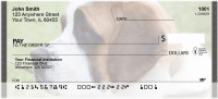 Saint Bernards Personal Checks | QBB-91