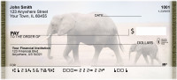 Wild Elephant Portraits Personal Checks | QBC-22