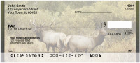 Rocky Mountain Elk In Fall Personal Checks | QBC-24