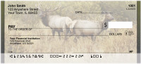 Rocky Mountain Elk In Fall Personal Checks | QBC-24