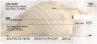 Sweet Shells Personal Checks | QBC-43