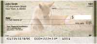 Foals And Mares Personal Checks | QBC-62