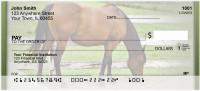 Horse Lovers Personal Checks | QBC-63
