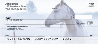 Horse On Misty Morning Personal Checks | QBC-64