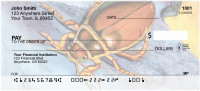 Beetle Mania Personal Checks | QBC-75