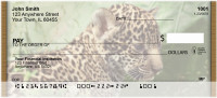 Jaguar Jungle Personal Checks | QBC-81
