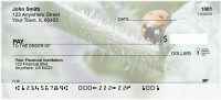 Ladybug Garden Personal Checks | QBC-87