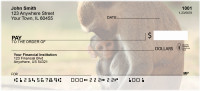 Jungle Monkeys Personal Checks | QBD-06