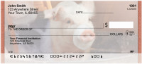 Pigs In A Tub Personal Checks | QBD-10