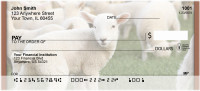 Grazing Sheep Personal Checks | QBD-33
