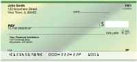 Stripes Citrus Inspired Personal Checks | QBO-19