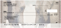 Heads Or Tails Personal Checks | ZANI-68