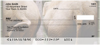 Heads Or Tails Personal Checks | ZANI-68