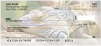 Iguana Be Cool | ZANI-89