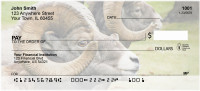 Big Horn Sheep Personal Checks | ZANJ-66