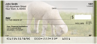 Lambs Personal Checks | ZANJ-67