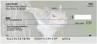 Squirrel Antics Personal Checks | ZANJ-73
