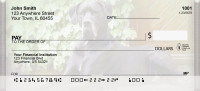 Great Danes Personal Checks | ZDOG-17