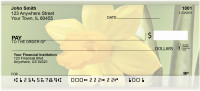 Daffodils Personal Checks | ZFLO-12