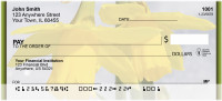 Daffodils First To Bloom Personal Checks | ZFLO-13